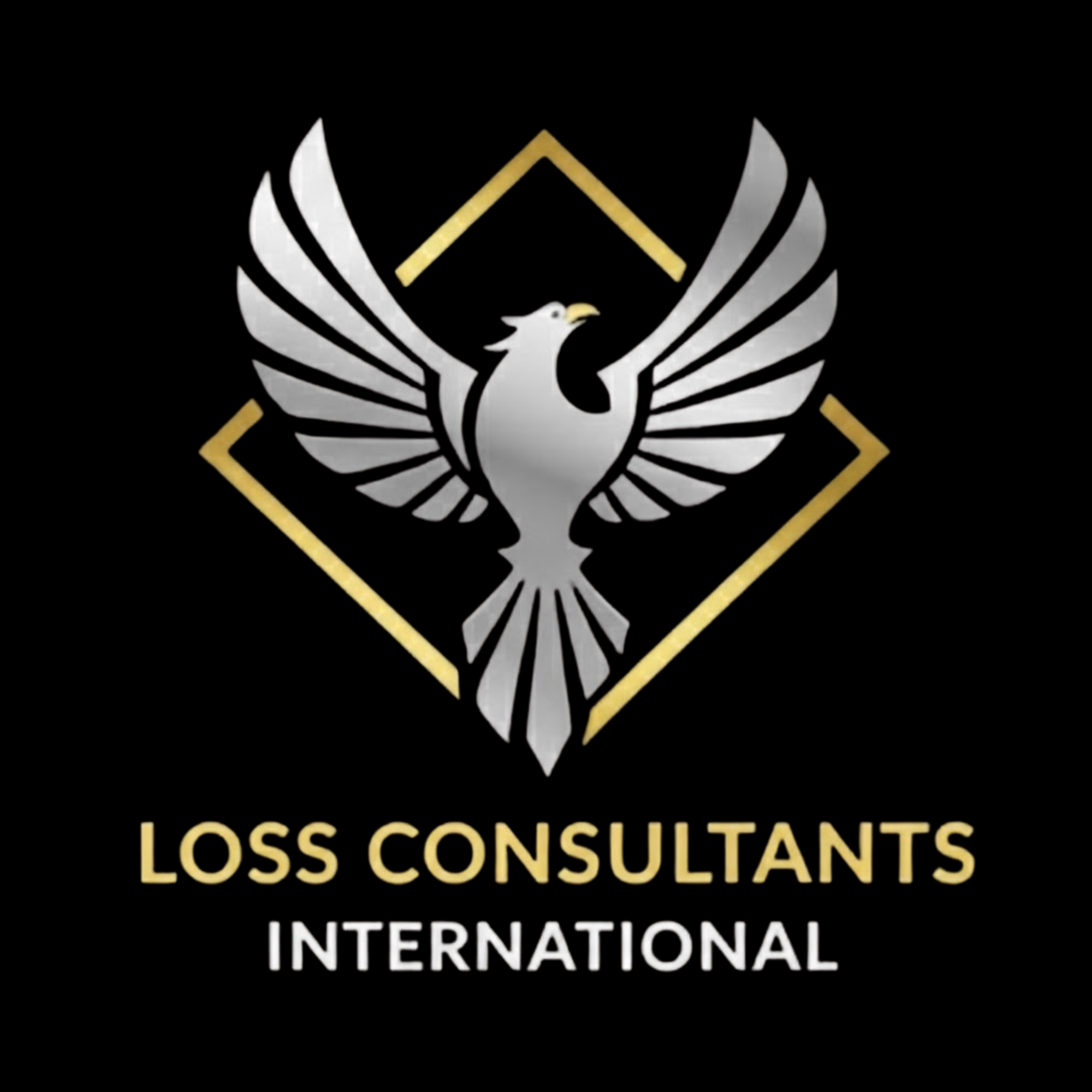 Loss Consultants International